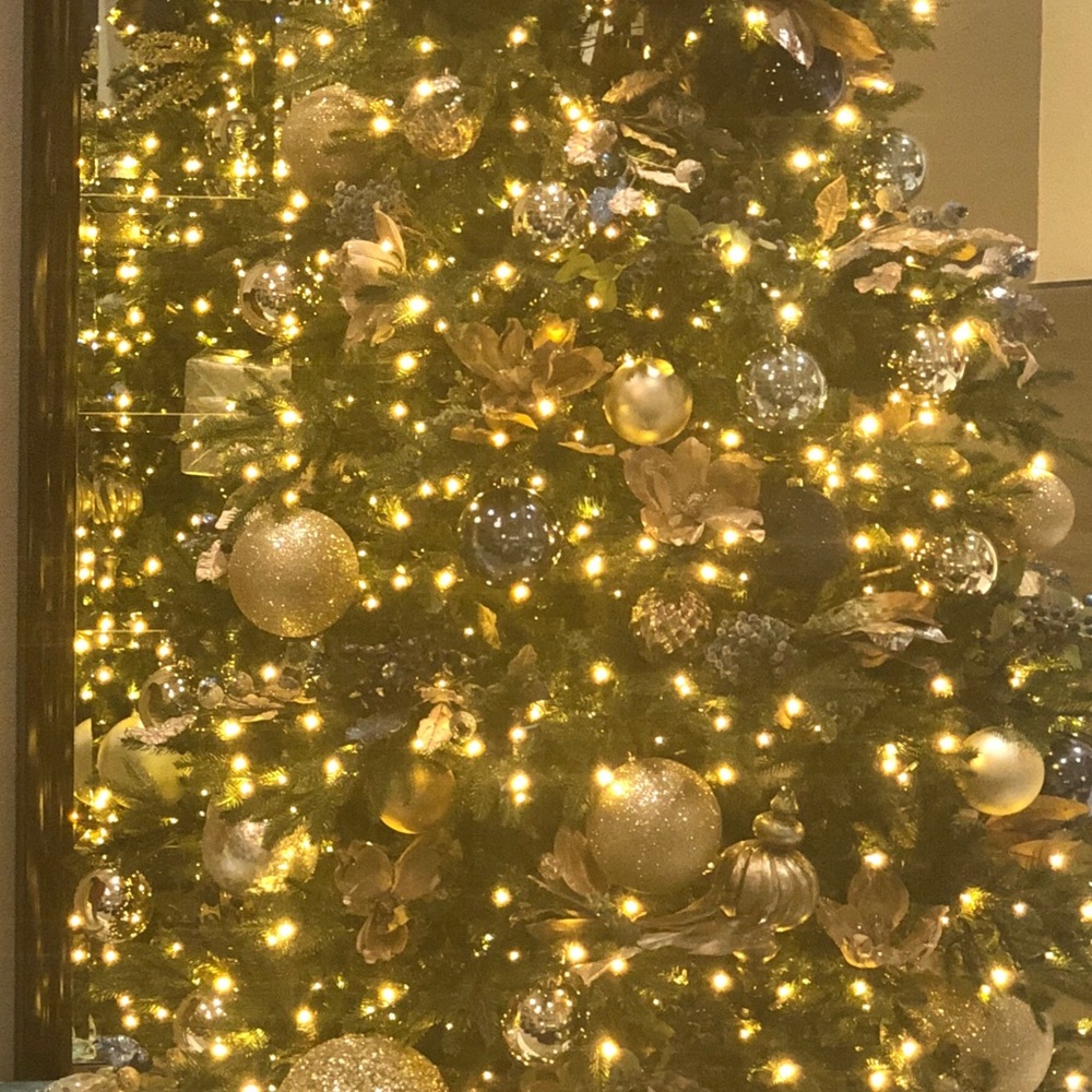 Meet your Posher, Ava